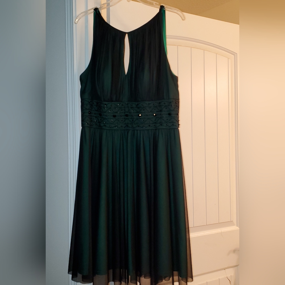 Green with Black Sheer overlay size 12